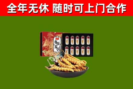 苍南回收冬虫夏草价格
