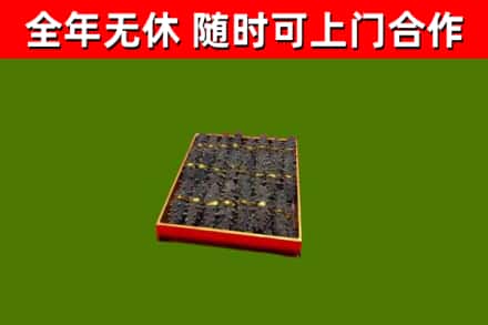 苍南烟酒回收海参.jpg
